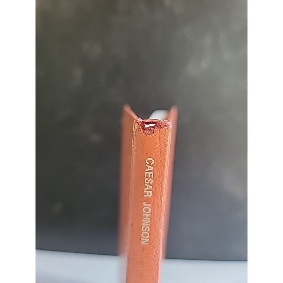 Windows To The Sky By Caesar Johnson - Picture 10 of 10